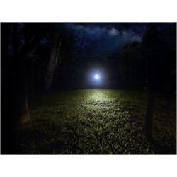 Latarka  LED Fenix E12 V2.0