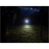 Latarka  LED Fenix E12 V2.0